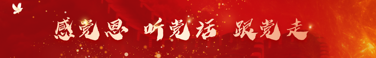 感恩党听党话跟党走